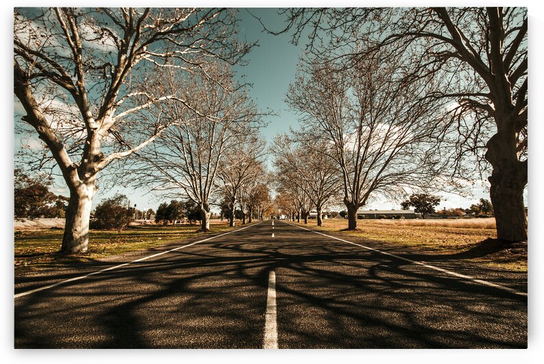 Entrance to Narrandera the Town of Trees by Jorgo
