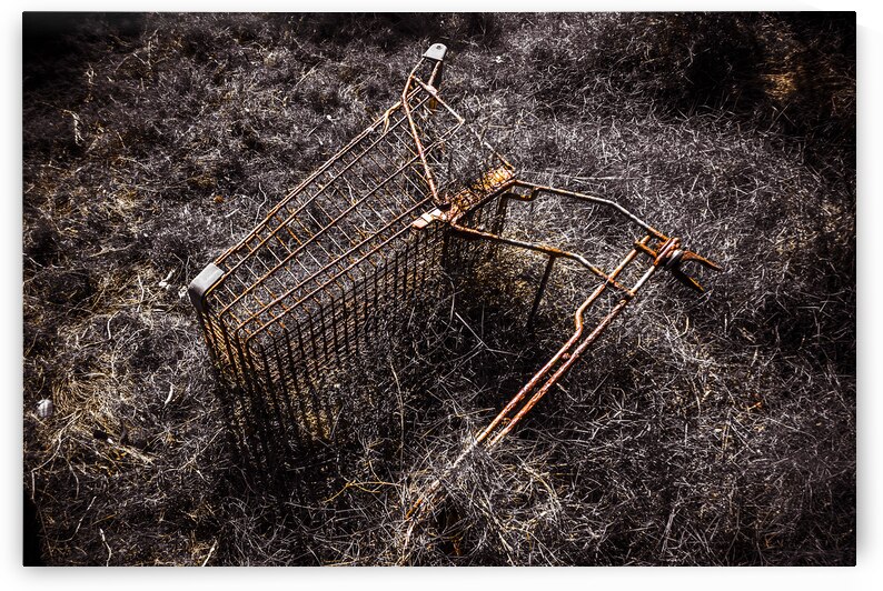 Coming to a store near you by Jorgo