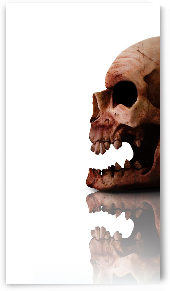 Horror Head by Jorgo