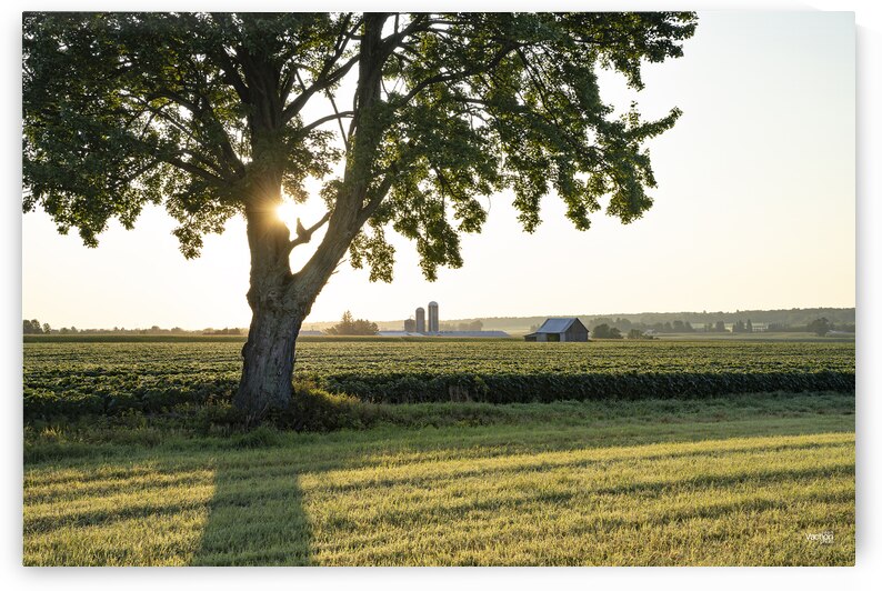 Fermiers artistes de la Terre by Jean Vachon Photographe