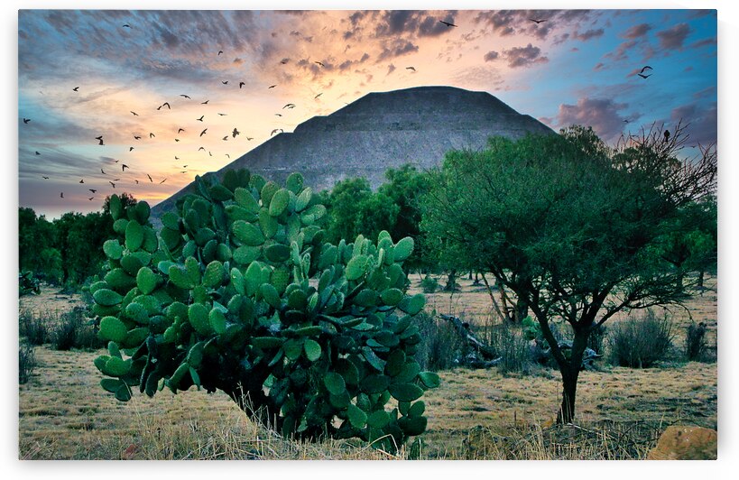 Mayan TEmple by Ehtiram Mammadov