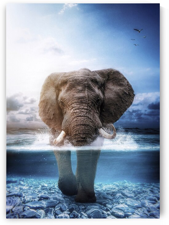 Elephant walking in the blue sea by Gen Z
