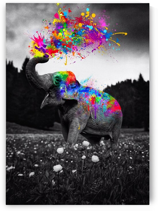 Elephant Color Splash in black and white nature by Gen Z