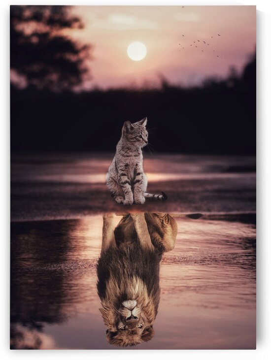 Cats are lions puddle reflection and sunset by Gen Z