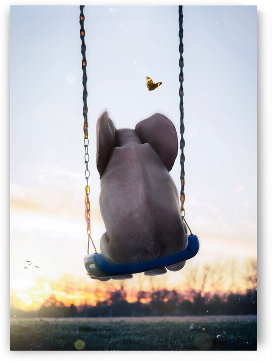 Baby Elephant Swing behind sunset by Gen Z
