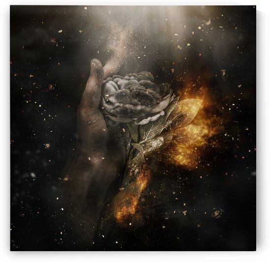 The greatest reset by Jorgo