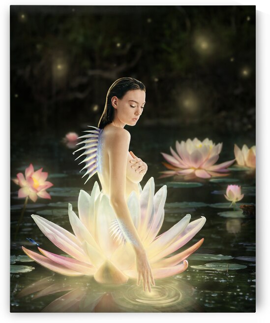 Siren by Sara K Norris