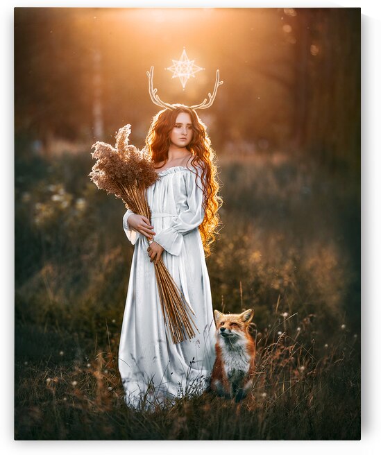 Fawn and the Fox by Sara K Norris