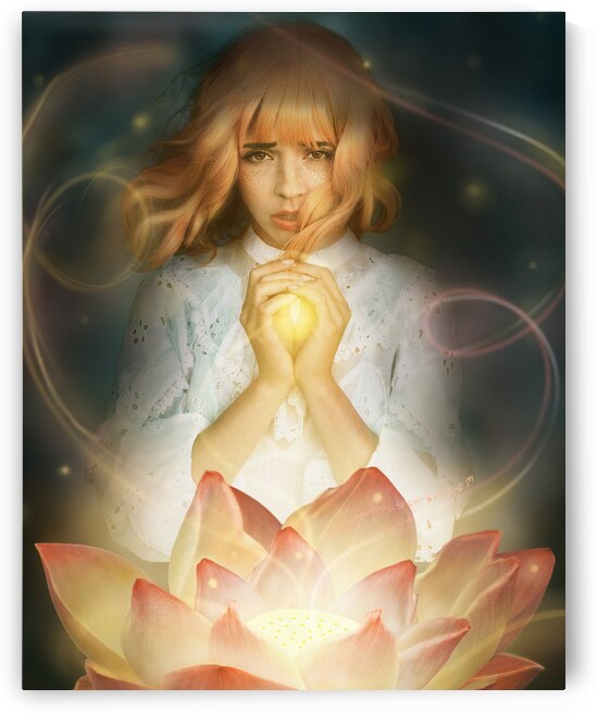 The Light of the Lotus by Sara K Norris