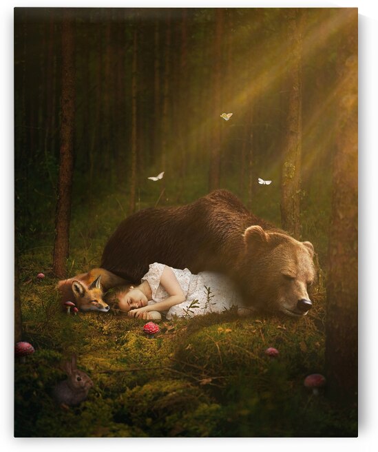 Forest Friends by Sara K Norris