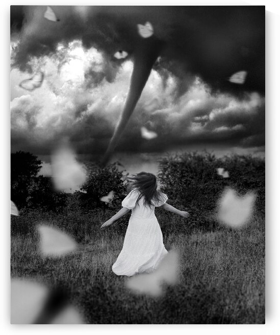 Twisted by Sara K Norris