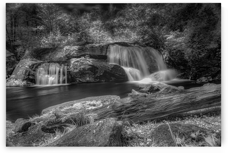 Whispers of Mist: Embracing Tranquility by Dream World Images