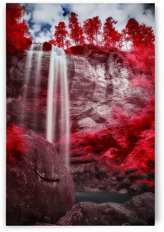 Scarlet Oasis by Dream World Images