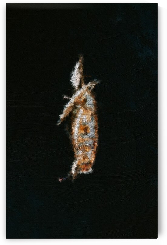 “Adrift in Stillness” by Quasar Quill