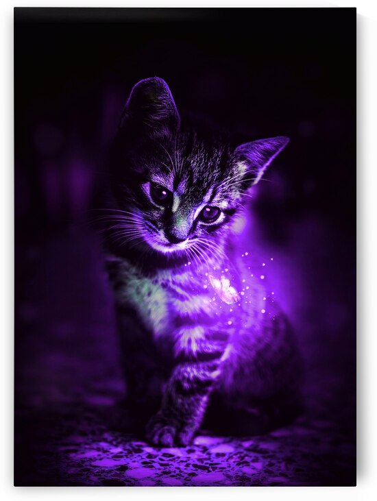 Purple cat and butterfly by Gen Z