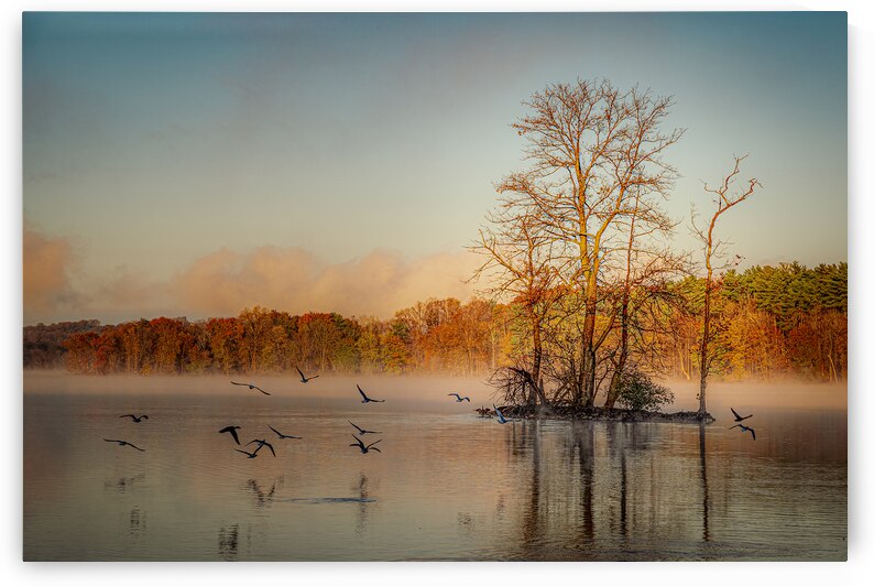Early Morning Loch Raven by Geoffrey Prior