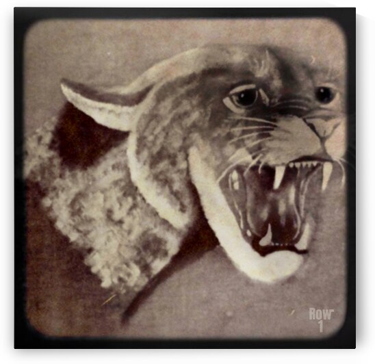 cougar viewfinder slide art retro by Row One Brand