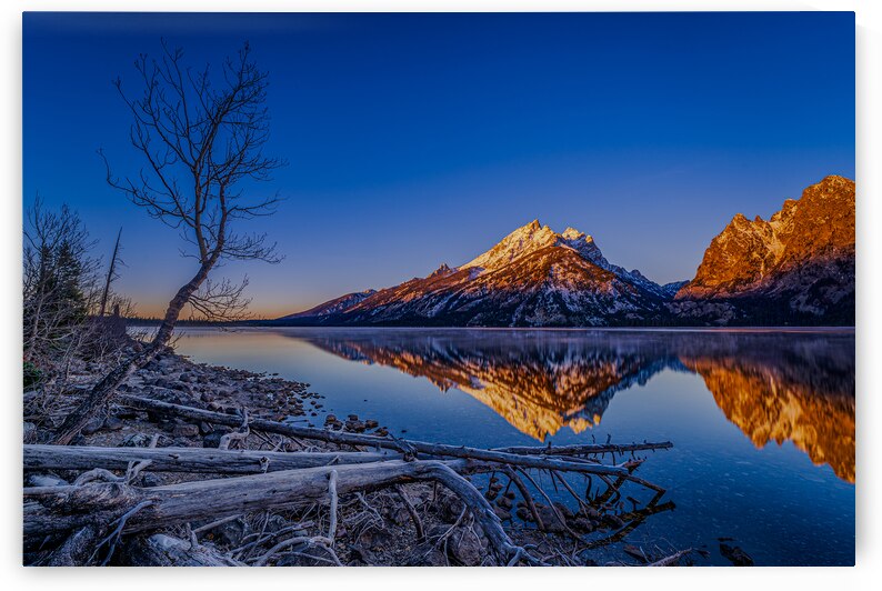Grand Teaton Reflection by Geoffrey Prior