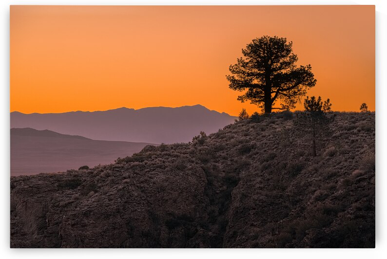 California Sunrise by Geoffrey Prior