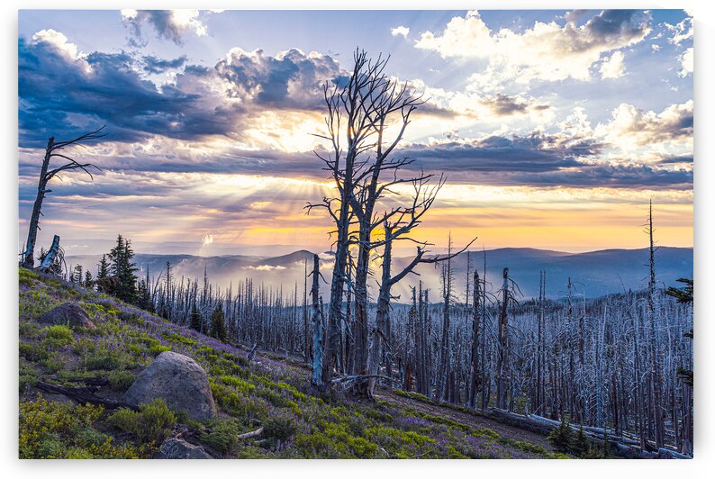 Cloud Cap Sunrise. by Geoffrey Prior