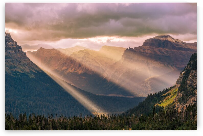 Logan Pass Sunbeams by Geoffrey Prior