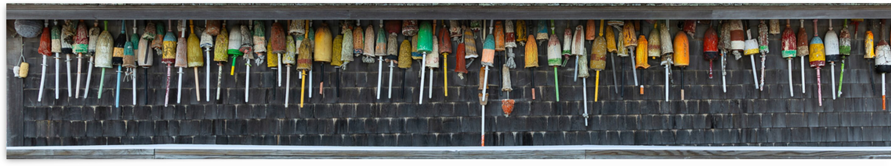 Yesterdays Catch by Matty V clixpix