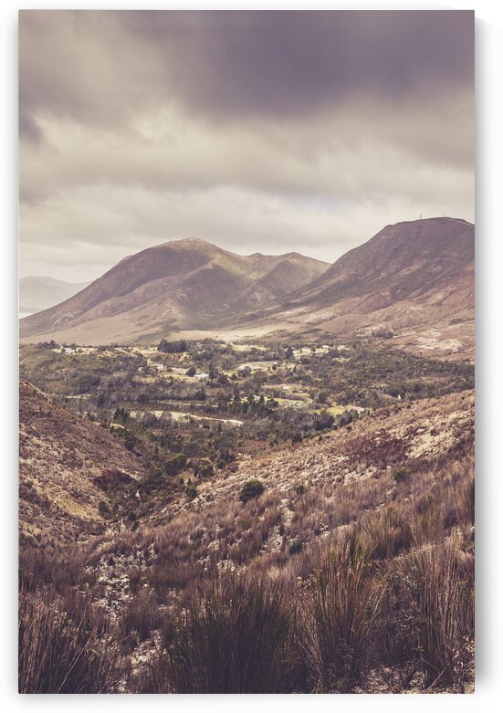 Glorious Gormanston by Jorgo