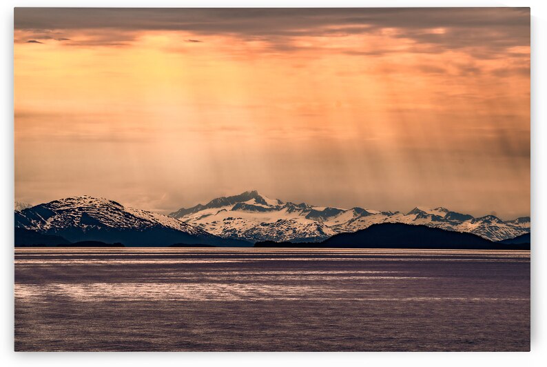 Prince William Sunrays by Geoffrey Prior