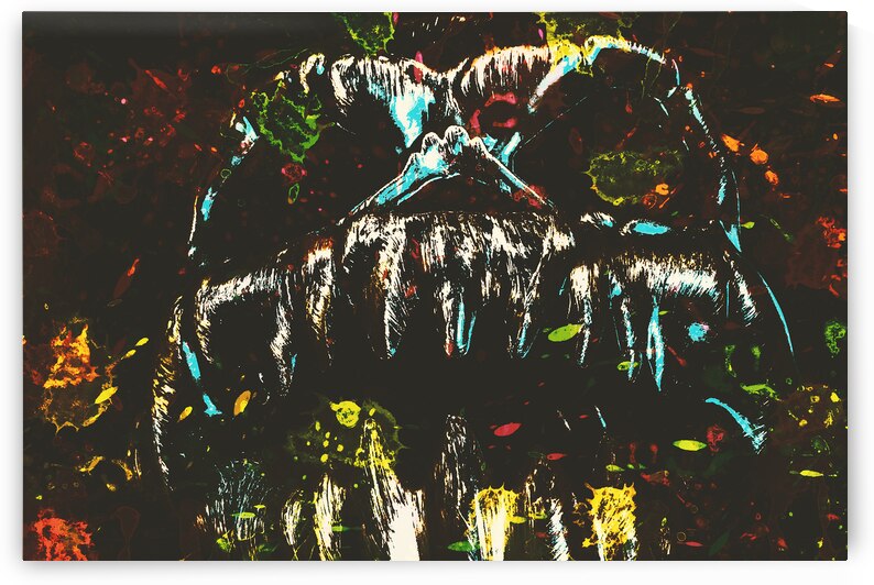 Pop art madness by Jorgo