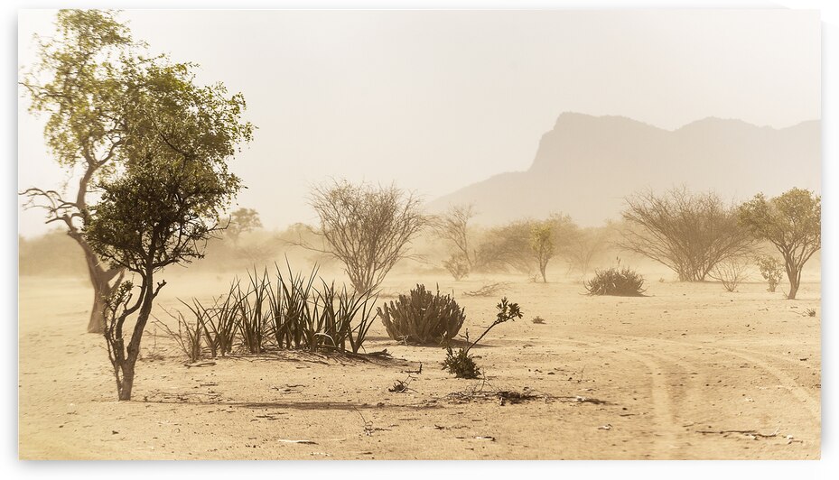 Turkana Trees by Riley Fine Art Photography