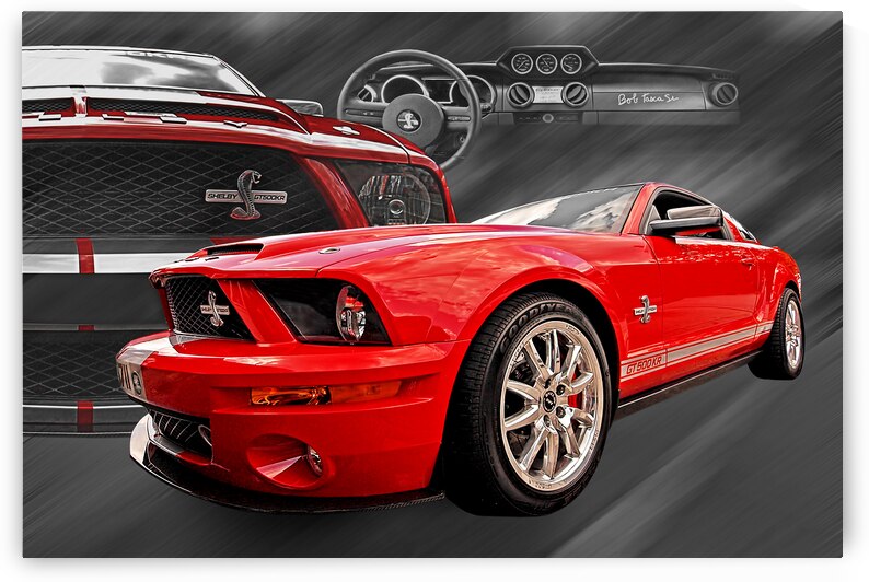 King Of The Road by Gill Billington