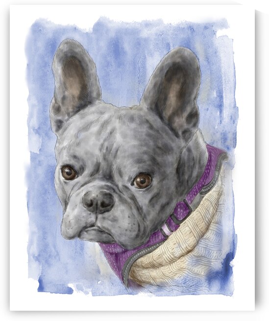 French bulldog pet portrait watercolor painting by Kevin Miller Photography