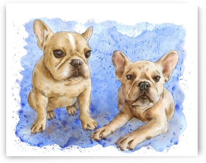 French bulldog portrait watercolor painting by Kevin Miller Photography