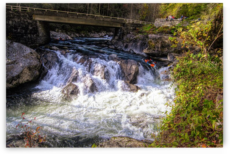 Smoky Mountains Kayak Racing by Norma Brandsberg Photography