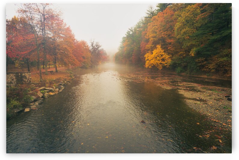 Foggy Jordan Creek by Jason Fink