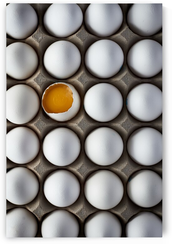 Eggs by Kata Endrodi Photography