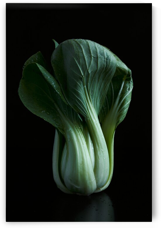 Baby bok choy portrait by Kata Endrodi Photography
