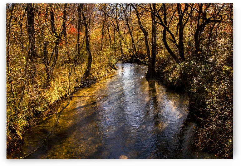 Imagine Heaven in a Forest River Glow by Norma Brandsberg Photography