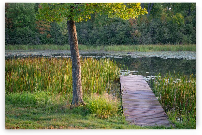 The Dock at Morning - Rice Lake Wisconsin by Mary Lee Dereske
