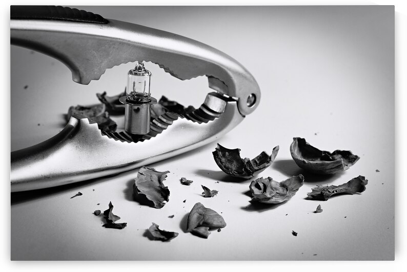 Serendipity by Angelo DeVal