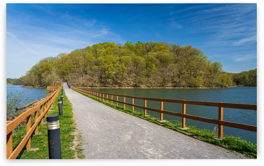 Pathway to spring leaves in Cheat Lake Morgantown WV by Steve Heap