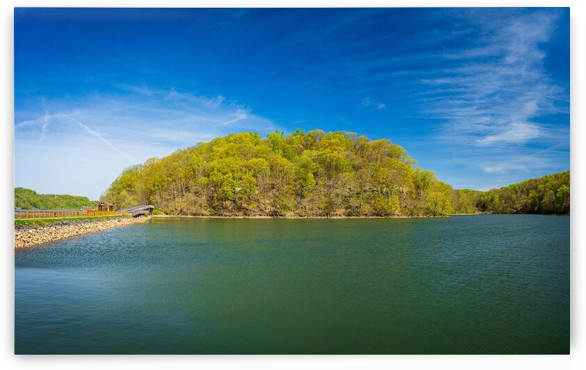 Reflection of spring leaves in Cheat Lake Park near Morgantown by Steve Heap