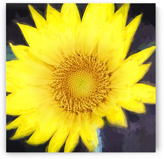 Happy Sunflowers Helianthus X2 4 by Rich Franco