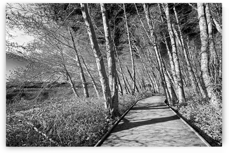 The Boardwalk by CRB Images Photography