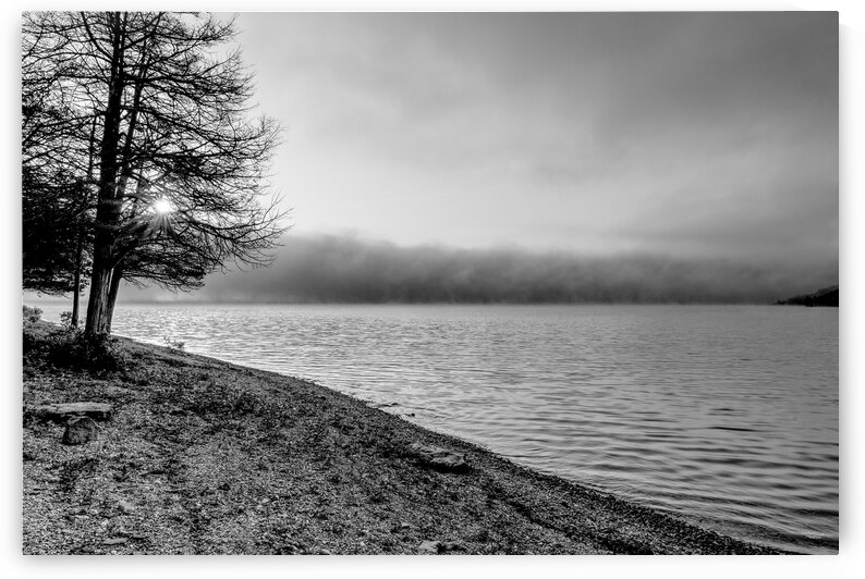 Foggy Morning Lake Shoreline Grayscale by Jennifer White