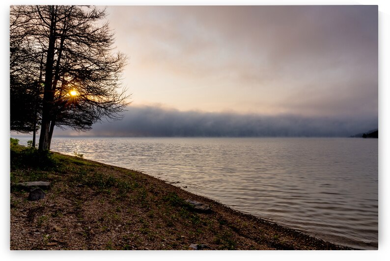 Foggy Morning Lake Shoreline by Jennifer White