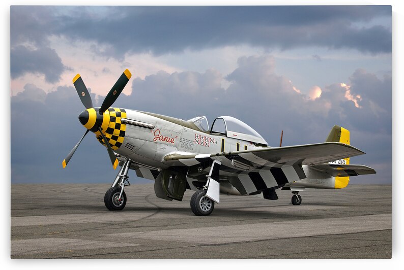 Janie p-51 by Gill Billington