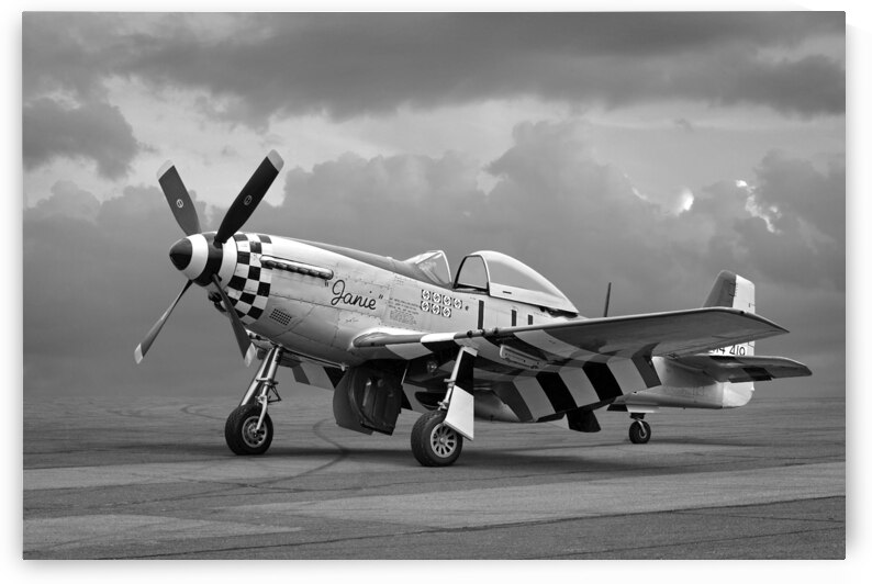 Janie p-51 in Black and White by Gill Billington