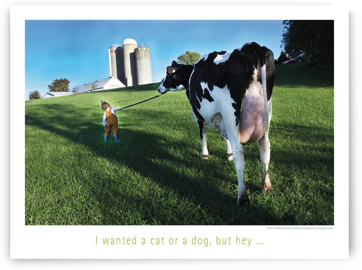 MY PET by Francis Pelletier