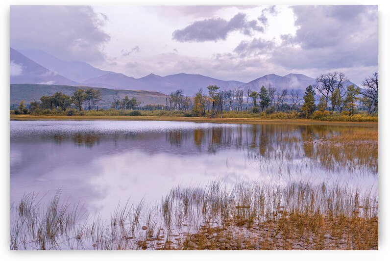 Cloudy Morning by Geoffrey Prior